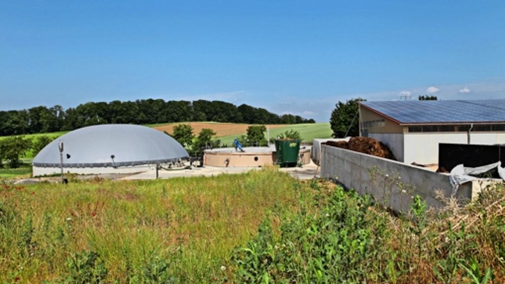 Biogas: Energie aus Gras und Kraut, das eh da ist