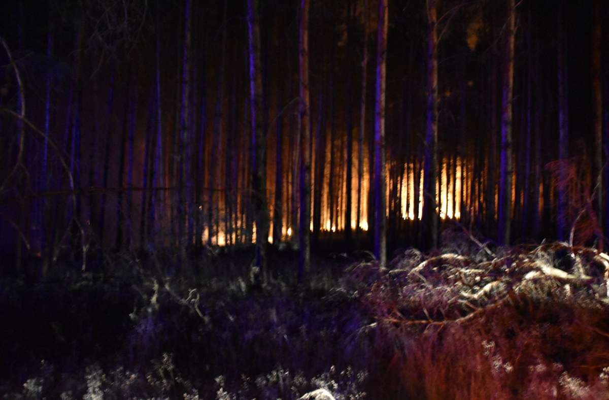 Brandenburg, Frohnsdorf: Der Wald bei Frohnsdorf brennt auf über 100 Hektar Fläche.