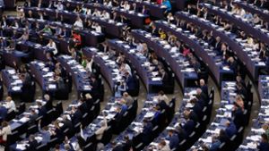 EU-Parlament will Amazon-Lobbyisten vor die Tür setzen