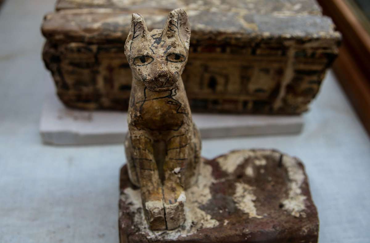 Diese Katzenstatue wurde im November 2019 in Sakarra ausgegraben.