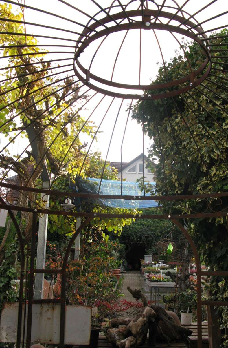 Die Gärtnerei Roos Fellbach eine grüne Oase in der Innenstadt hört auf.