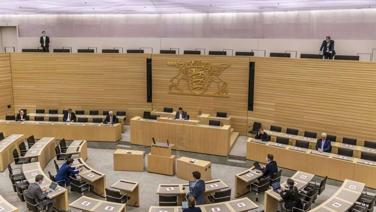 Landtag in Baden-Württemberg: AfD-Mann unterbricht  mit Schimpftirade Sitzung