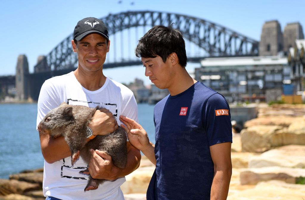 Die Tennis-Profis Rafael Nadal und Kim Nishikori knuddeln einen Wombat Lola in Sydney.