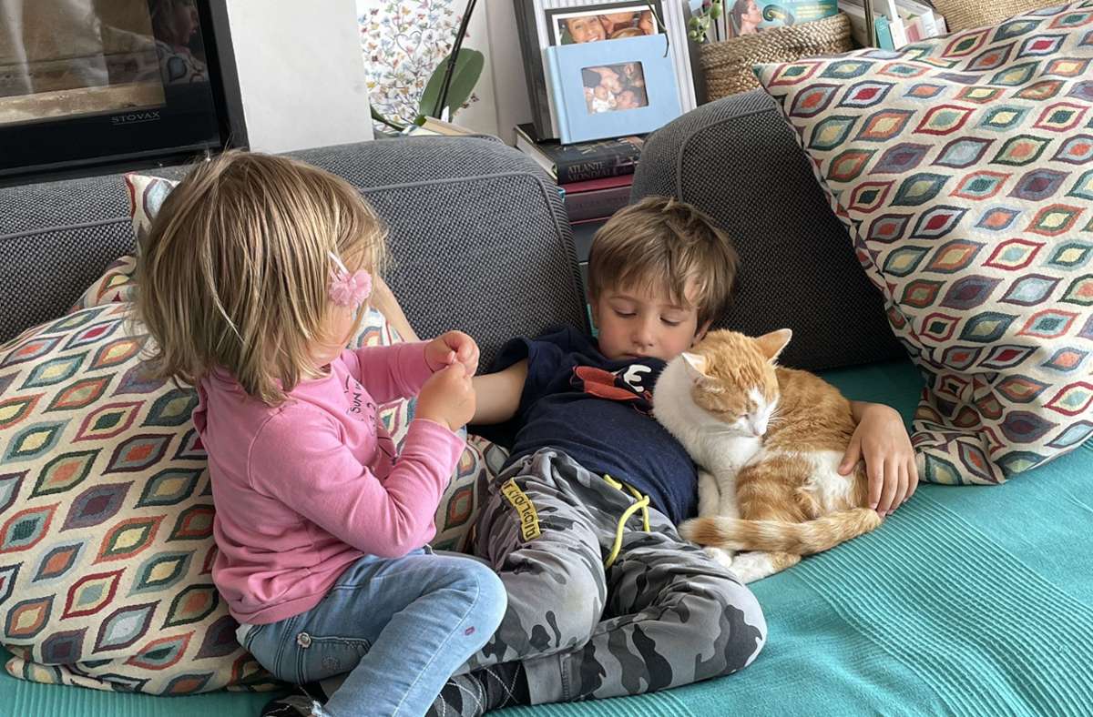 Die Kinder kuscheln mit der Katze.