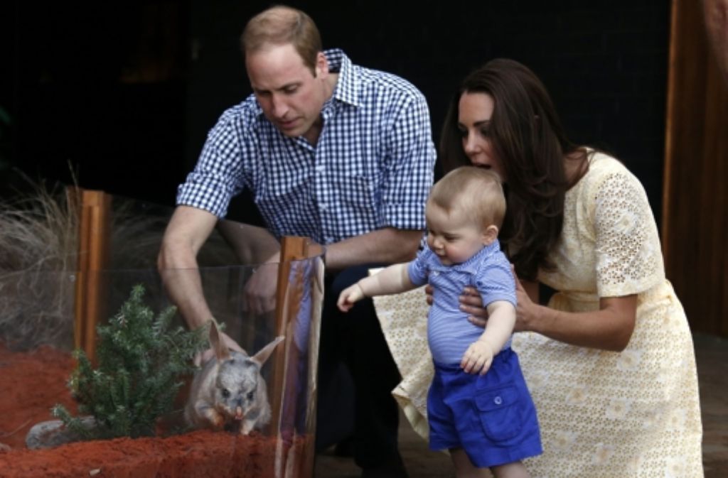 Guck mal, was da mümmelt: Prinz George zeigt im Zoo von Sydney sichtlich Gefallen an "seinen" Bilbys.