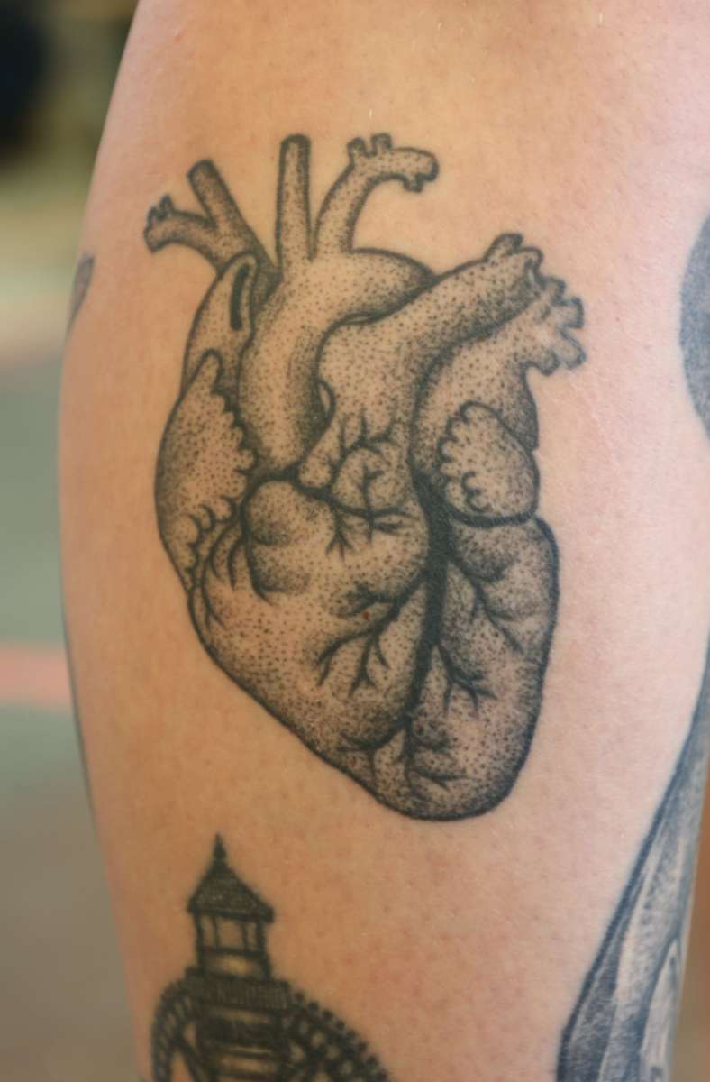 Anatomisches Herz, das in Beziehung zu ihrem Beruf als Physiotherapeutin steht.