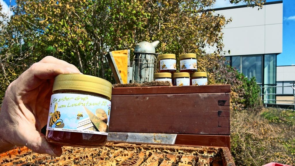 Imkerei: Für Bienen ist die Stadt die bessere Natur