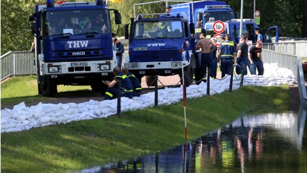 Leonberg/Magdeburg: Leonberger im Kampf gegen das Hochwasser