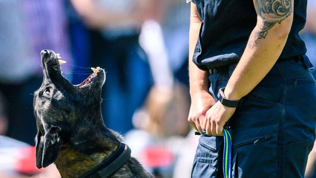 Streit in Tamm: Polizeihund beißt renitenten Hotelgast