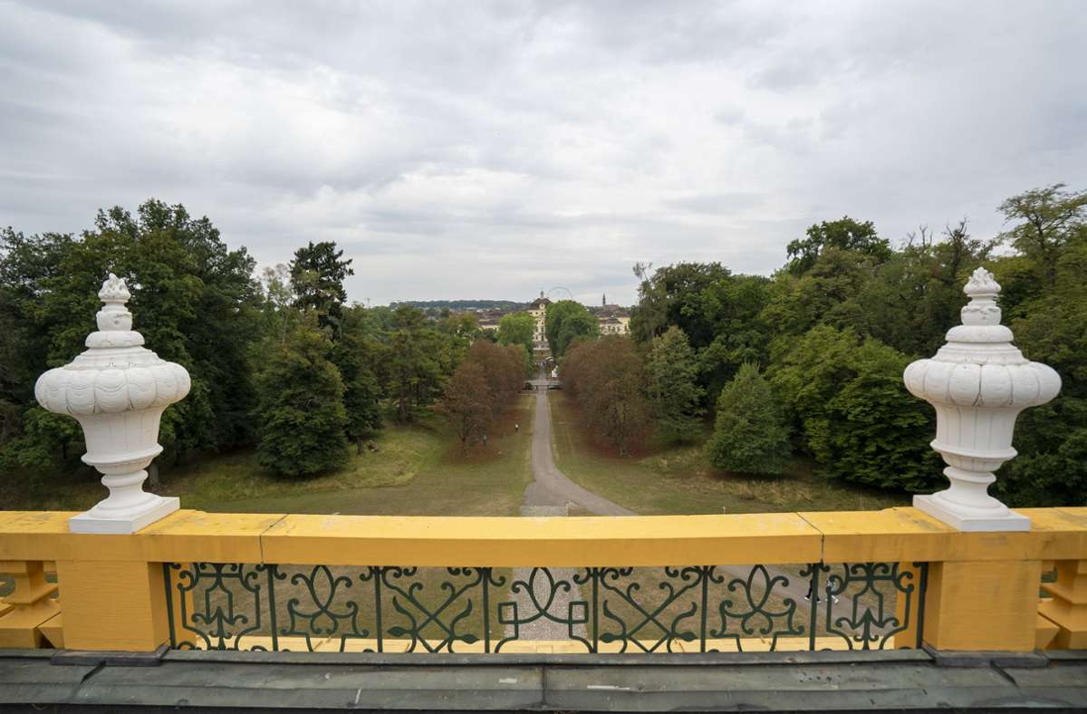 Der Blick vom Balkon in den Park