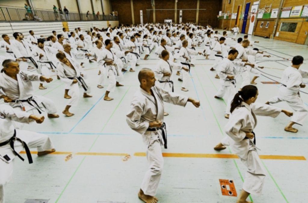Mehr als 160 Schwarzgurtträger lauschen in der Tammer Schulsporthalle den Worten von Norihiko Iida, einem Großmeister des Shotokan-Karate. Sehen Sie mehr Bilder vom Gasshuku in unserer Bildergalerie.