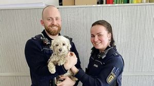 Tierisches aus Stuttgart-Ost: Hündin ausgebüxt – Polizei nimmt Verfolgung auf