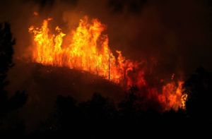 Waldbrände in der Türkei und Zypern wüten weiter