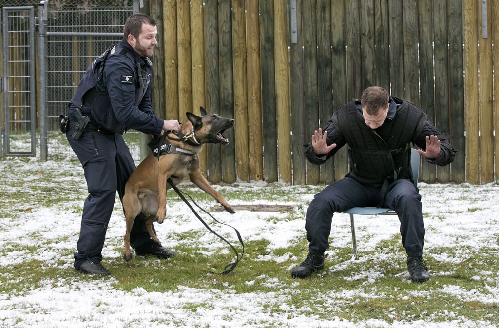 Change und sein Hundeführer Michael Köstle (links) wissen, wie man eine aggressive Person hier gespielt vom Ausbilder Florian Beinlich – zur Räson bringt.
