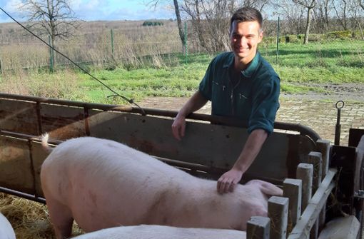 Johannes Steffl hat jede Menge Schweine. Aber das Glück ist nicht ungetrübt. Foto: Allgöwer
