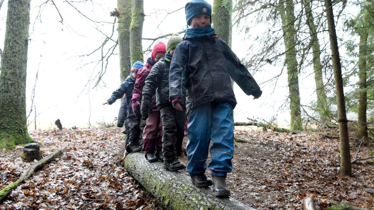 Landschaftsschutz in Heumaden: Was passiert mit dem Naturkindergarten?