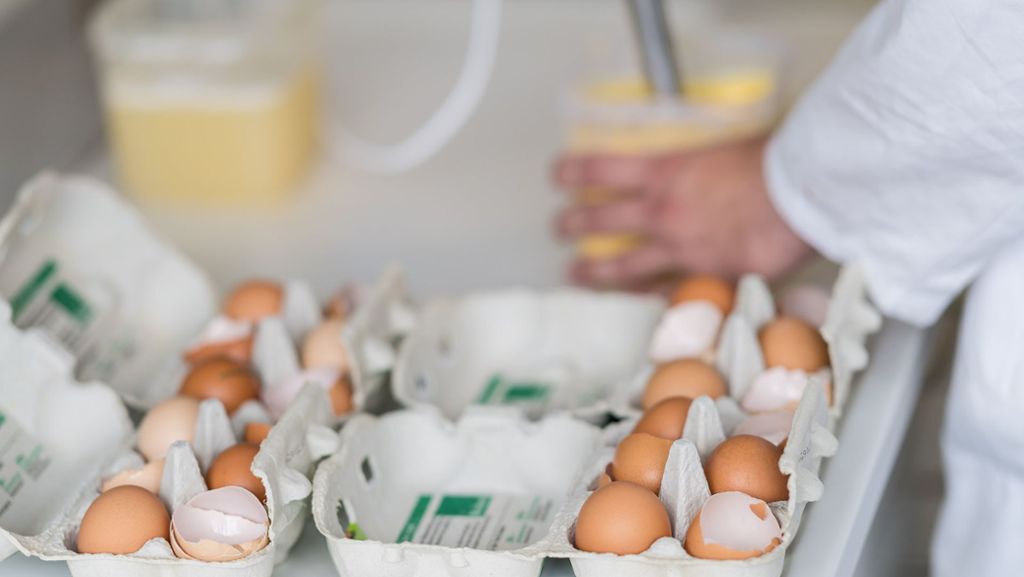 Fipronil: Aldi bleibt mit Eier-Bann vorerst alleine