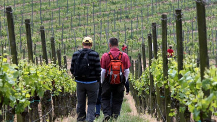 13. Mai: Weinwanderung endet mit Schlägerei