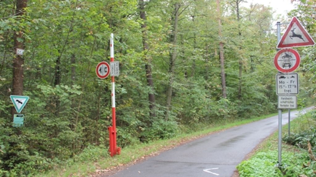 Verbindungsweg durch den Greutterwald: Hickhack um den  Vicinalweg geht weiter