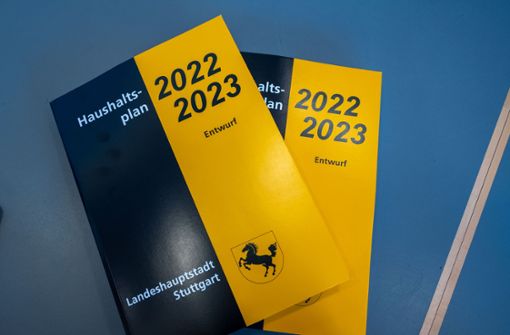Am Freitag beschließt der Gemeinderat den Haushalt für die Jahre 2022/2023. Foto: Lichtgut/Leif Piechowski