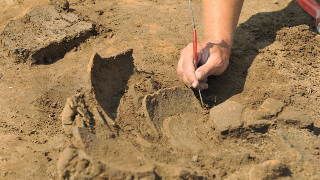 Entführte Archäologen in Nigeria: 180.000 Euro für deutsche Geiseln gefordert
