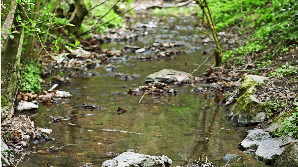 Illegales Abpumpen von Gewässern in Stuttgart: Stadt setzt Kontrolleure gegen Wasserdiebe ein