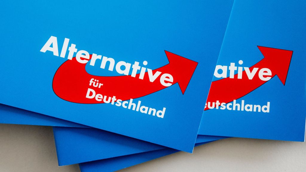 Die AfD im Bundestag: Umstrittene Kandidaten