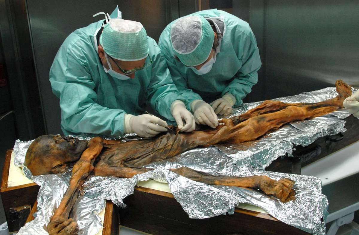 Wissenschaftler in Bozen untersuchen die Mumie aus dem Schnalstal. Foto: dpa/M.Samadelli