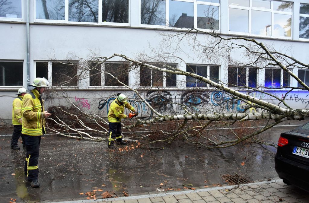 An der Sigmaringer Straße in Nürtingen stürzte ein Baum auf ein geparktes Auto und drückte das Dach ein.