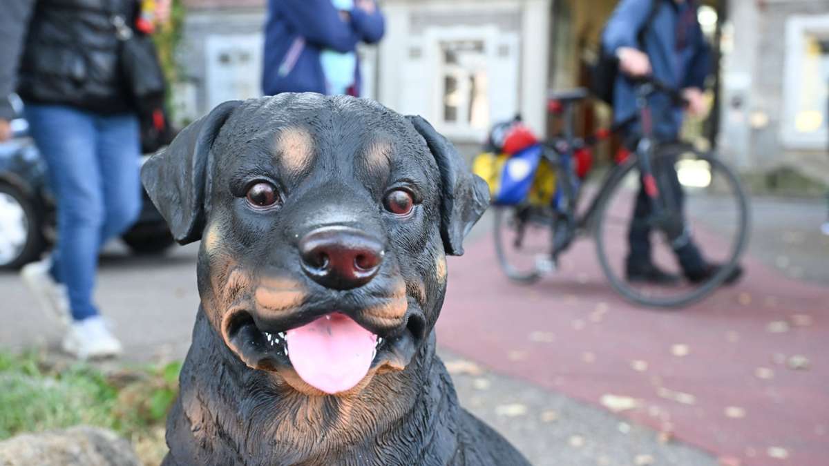 Bellende Attrappe gegen Radler: Rateteam von „Wer weiß denn sowas?“ scheitert an Esslinger Plastikhund Iwan