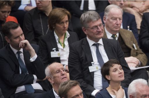 Versteinerte Gesichter: Während der Rede von Bundestagspräsident Norbert Lammert war vonseiten der AfD keine Begeisterung zu spüren. Foto: Getty Images Europe