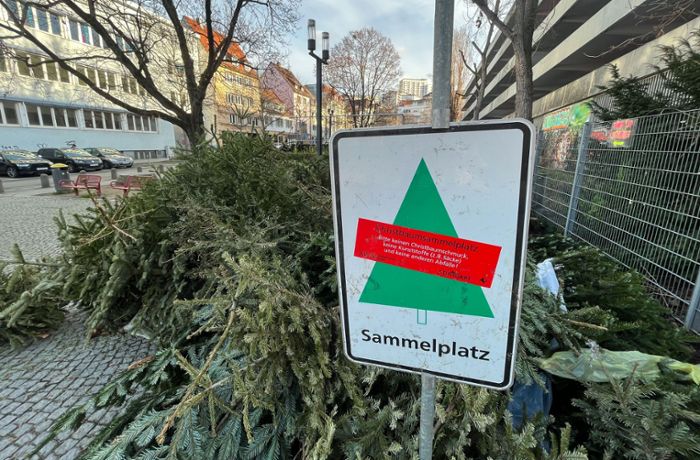 Sammelstellen für Weihnachtsbäume: Noch liegen Weihnachtsbäume in den Stadtteilen rum