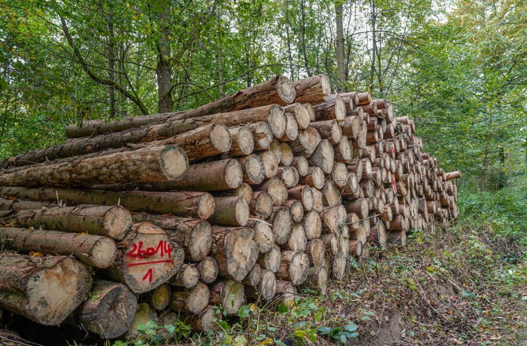 Das Waiblinger Borkenkäferholz ist verkauft. Foto: /Edgar Layher