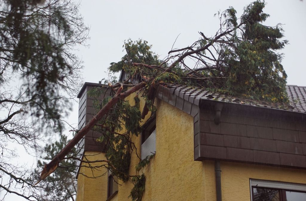 Ein Baum fiel auf den Dach eines Hauses.
