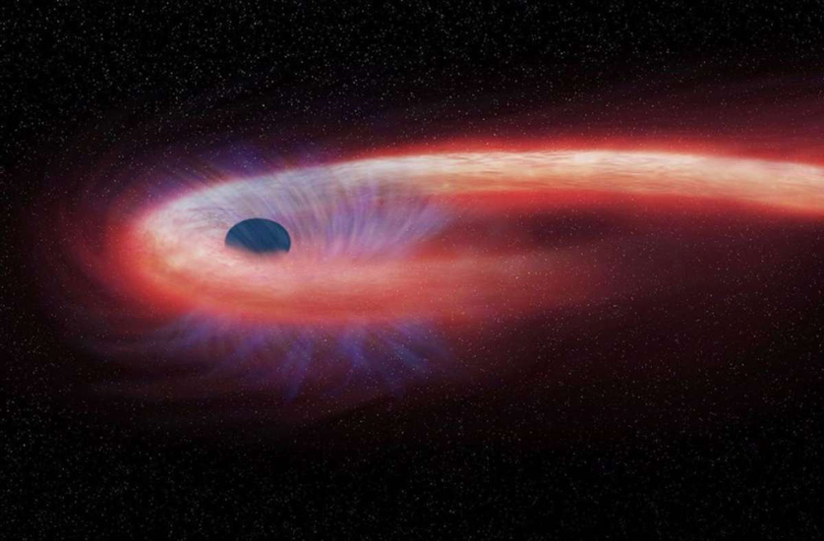 Diese von der US-Raumfahrtbehörde Nasa bereitgestellte grafische Darstellung zeigt einen Stern, der von einem schwarzen Loch geschluckt wird und dabei einen roten Schweif aus Röntgenstrahlen hinter sich lässt.