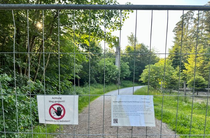 Teil von Spazierweg in Stuttgart gesperrt: Viel Wirbel und Ärger um einen  Baum mit „Mega- Schaden“