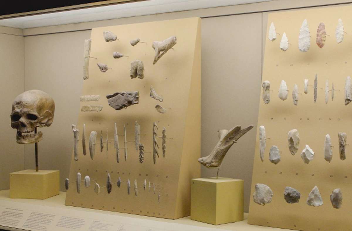Ausstellung prähistorischer Funde