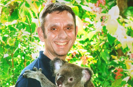 Direktor Thomas Kölpin darf  sich freuen: Von Mai 2023 an präsentieren  sich vier putzige Koalas – zwei Männchen und zwei Weibchen – dem Wilhelma-Publikum. Foto: privat Foto:  