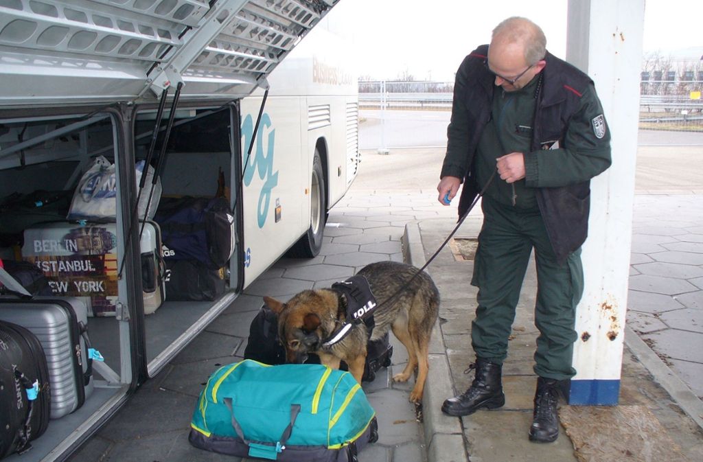 Drogenspürhund Vicky fand knapp zwölf Kilo Rauschgift im Gepäck des Fernbusses.