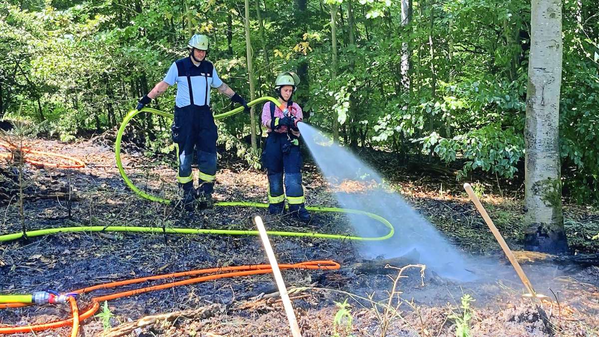 Feuer in Leonberg: Waldbrand geht glimpflich aus