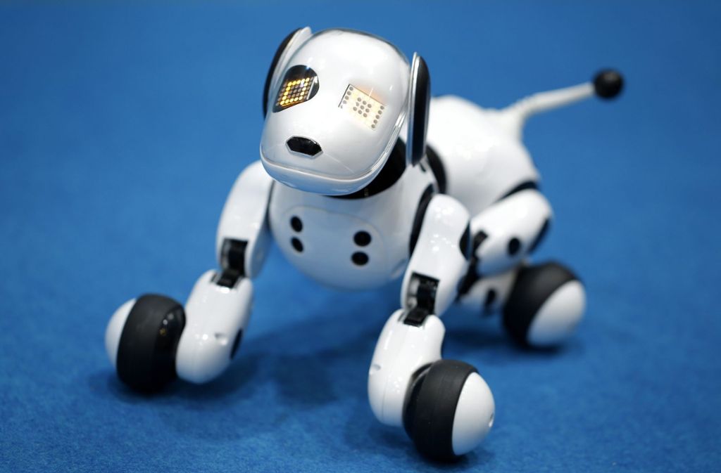 Der Roboterhund „Zoomer – Dalmatiner“ kann Befehle wie „Roll dich“ oder „Beschütze mich“ ausführen, ist aber von künstlicher Intelligenz weit entfernt.