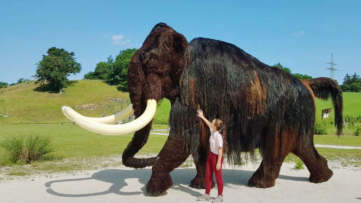 Mammut in Lebensgröße: Archäopark im Lonetal hat einen neuen Star