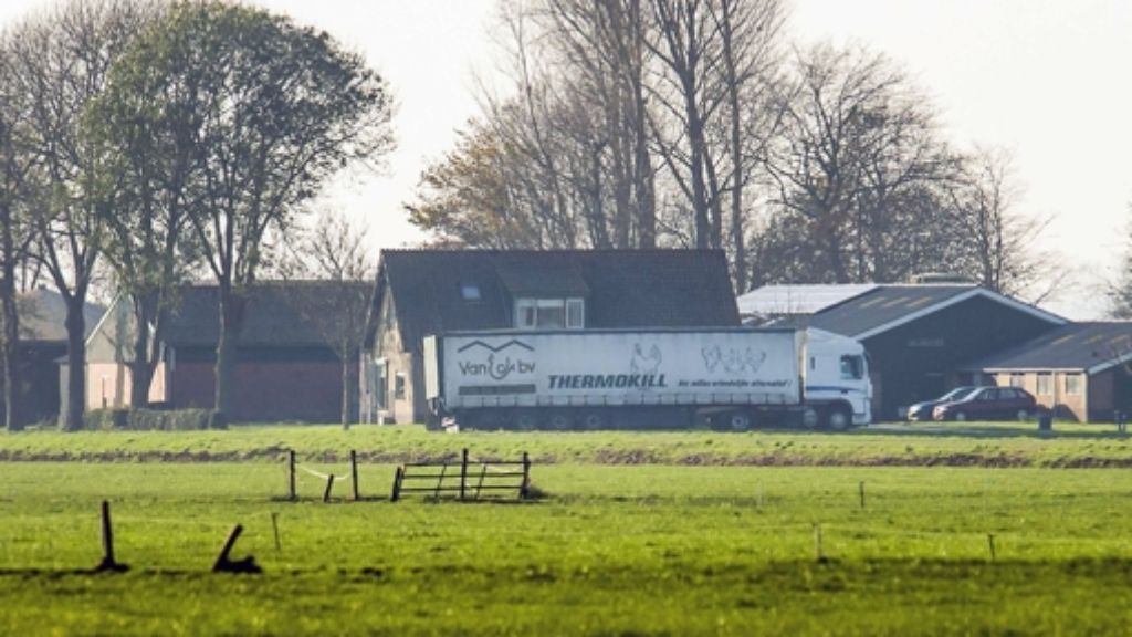  In den Niederlanden ist die Vogelgrippe mittlerweile auf dem dritten Hof aufgetaucht. Bei zwei Höfen ist klar: Es handelt sich um den gefährlichen Subtyp H5N8. 
