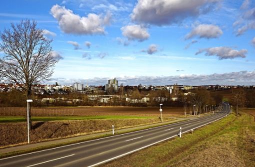 Die Pläne für das Hangweidenareal in der Senke zwischen Stetten und Rommelshausen werden virtuell vorgestellt. Foto:  