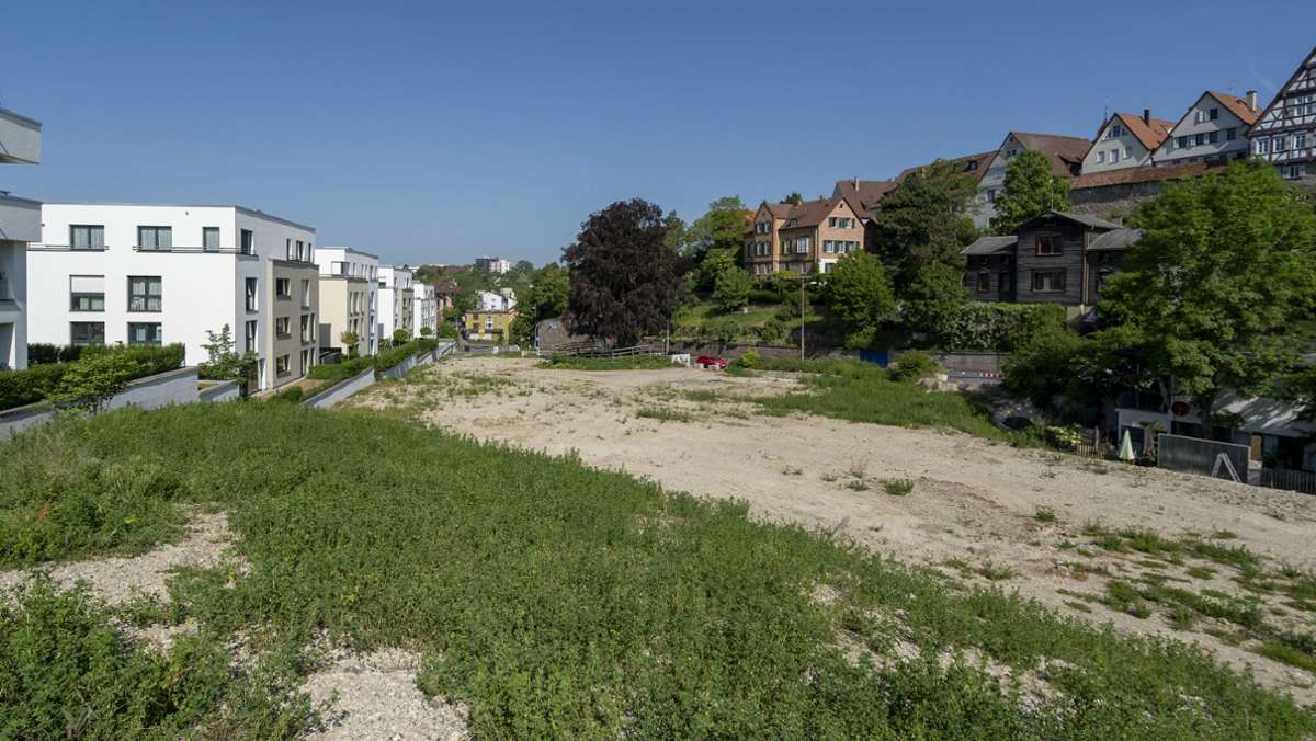 Kommentar zur Leonberger Stadtentwicklung: Kein Leben bedeutet Tod