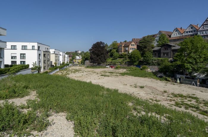 Kommentar zur Leonberger Stadtentwicklung: Kein Leben bedeutet Tod