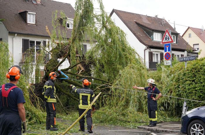 Stuttgart-Vaihingen: Baum stürzt um und reißt Stromkabel mit