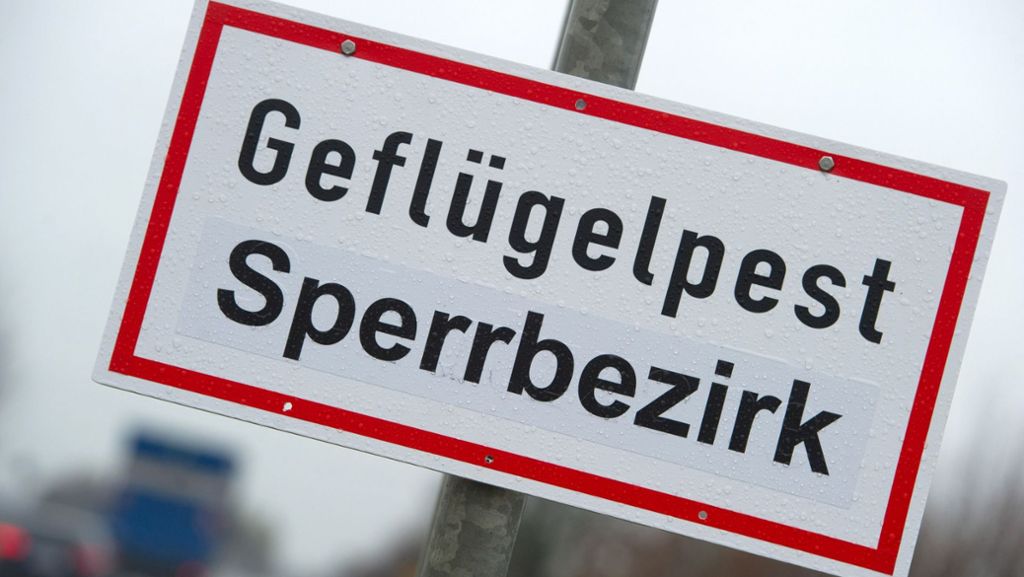  Niedersachsen meldet einen ersten Vogelgrippe-Fall. Damit sind inzwischen sechs Bundesländer von der aktuellen Epidemie betroffen. Die Folgen für den internationalen Handel nehmen zu. 