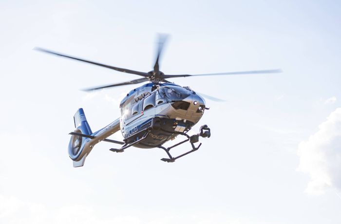 Hubschrauber im Enzkreis unterwegs: Freilaufendes Kalb sorgt für stundenlangen Polizeieinsatz