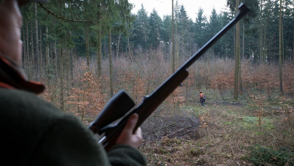 In Niedersachsen: Jäger wird bei der Jagd tödlich getroffen